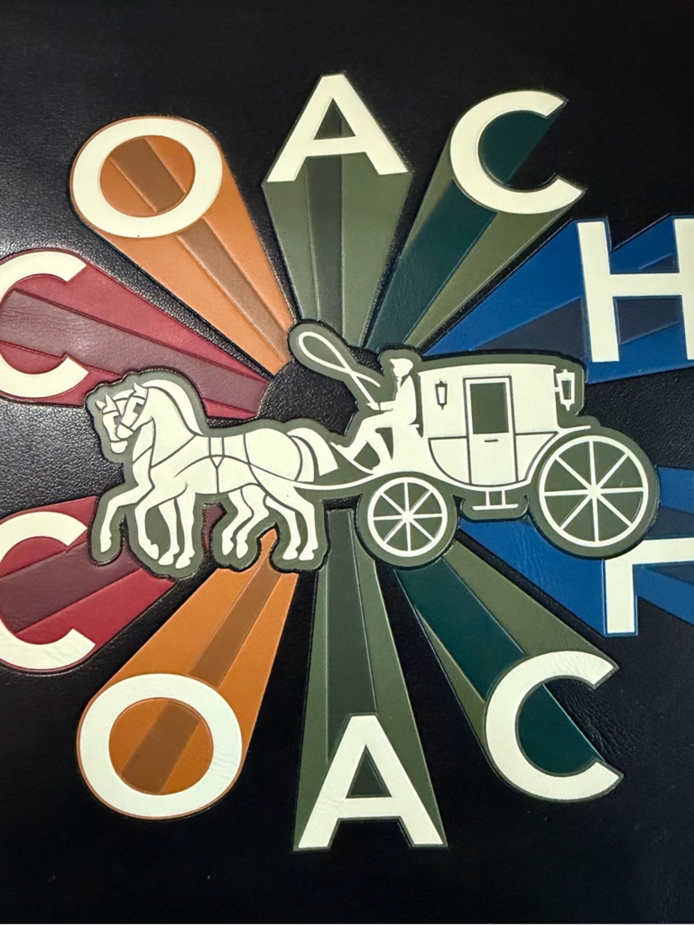 Coach Rainbow Horse and Carriage Large Pouch (NWT) - Picture 11 of 11